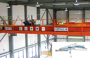 Top running overhead crane (double)