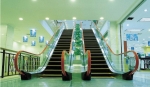 Commercial Slim Type Escalator