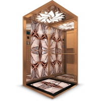 Passenger Elevator Cabin - INTRO 1100