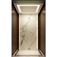 Space-Saving Villa Elevators for Modern Residences, Weight Capacity 400–1,000 lbs (180–450 kg),  3–6 passengers.